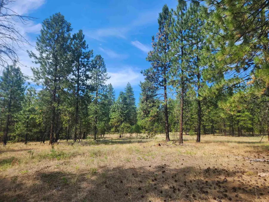 1866K Northport Flat Creek Rd, Kettle Falls, WA 99141-9998 - #3