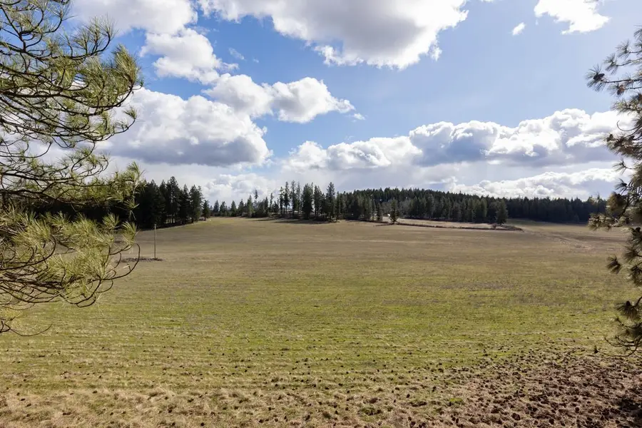 8920A E Schwachtgen Branch Rd, Chattaroy, WA 99003 - #3