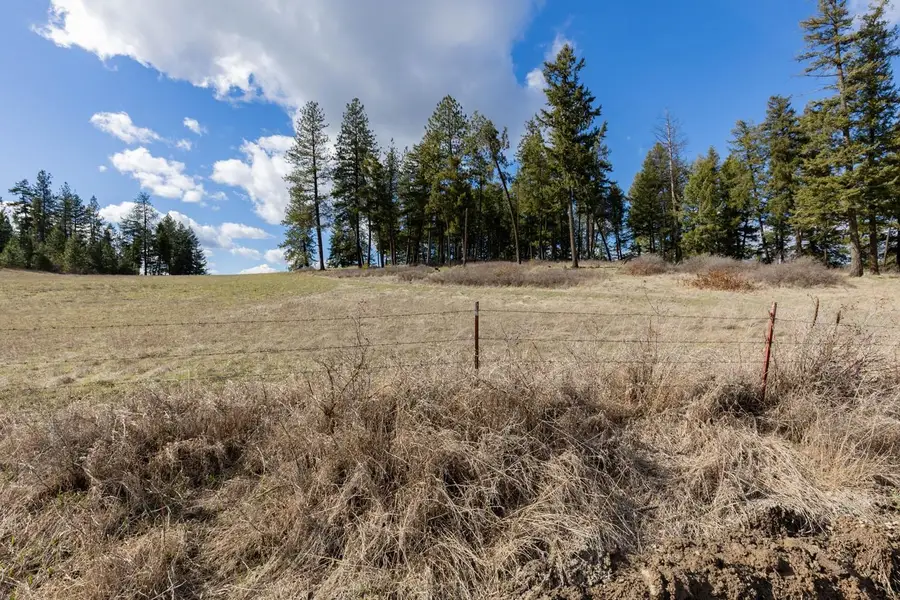 8920B Schwachtgen Branch/n Dunn Rd, Chattaroy, WA 99003 - #2