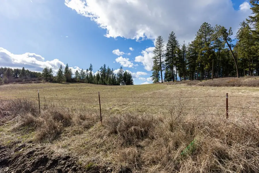 8920B Schwachtgen Branch/n Dunn Rd, Chattaroy, WA 99003 - #3