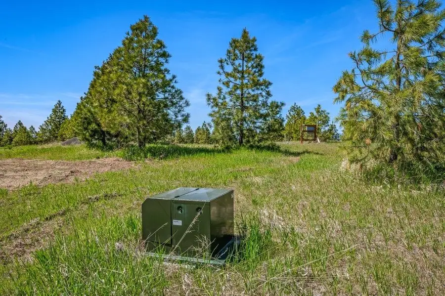 20122 W Johnson Ln, Nine Mile Falls, WA 99026 - #3