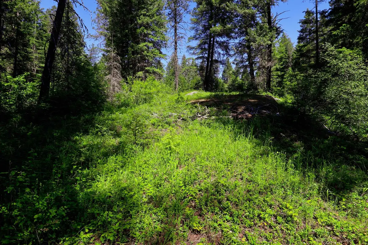 14 Elk Rd, Newport, WA 99156 - #1