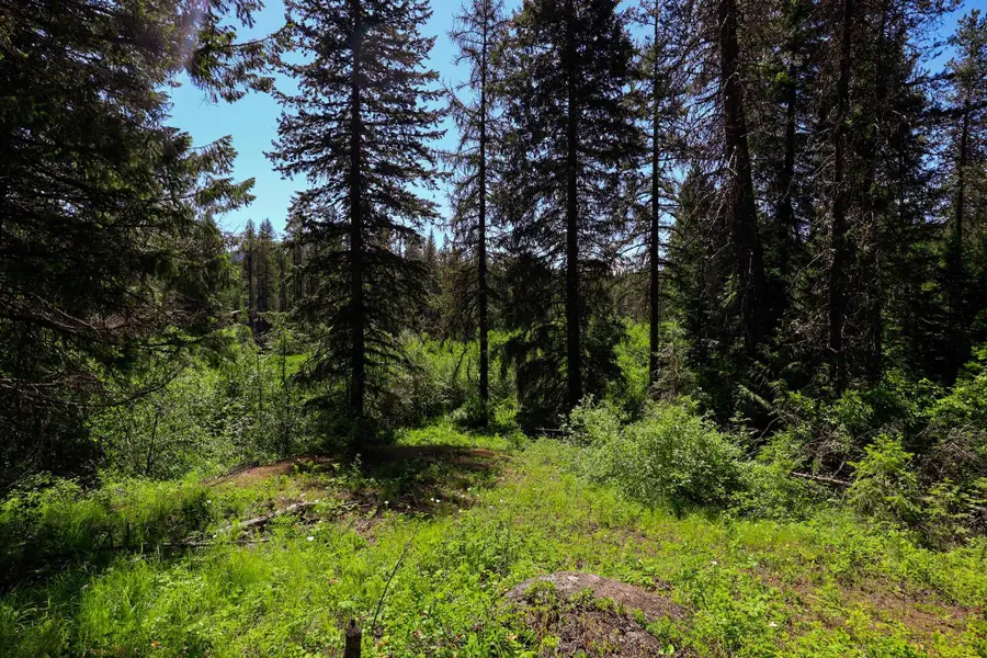 14 Elk Rd, Newport, WA 99156 - #2