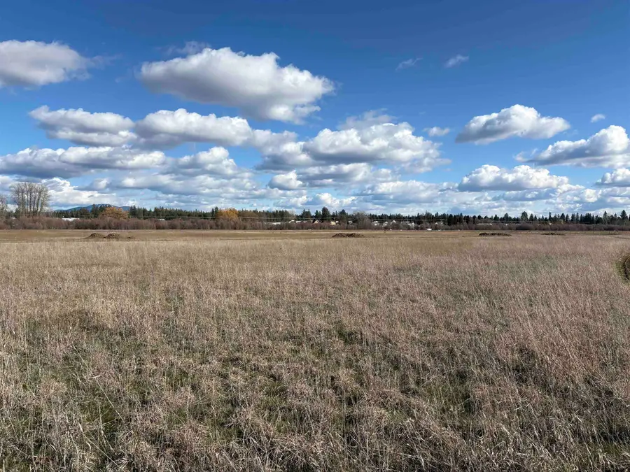 xx Enoch Rd, Deer Park, WA 99006 - #3