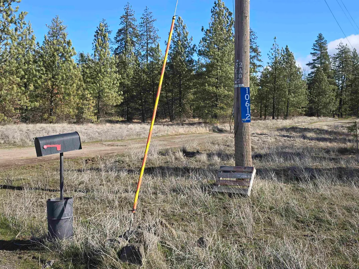 10602 N Dover Rd, Nine Mile Falls, WA 99026 - #1