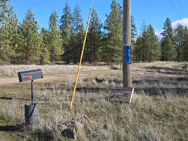 10602 N Dover Rd, Nine Mile Falls, WA 99026