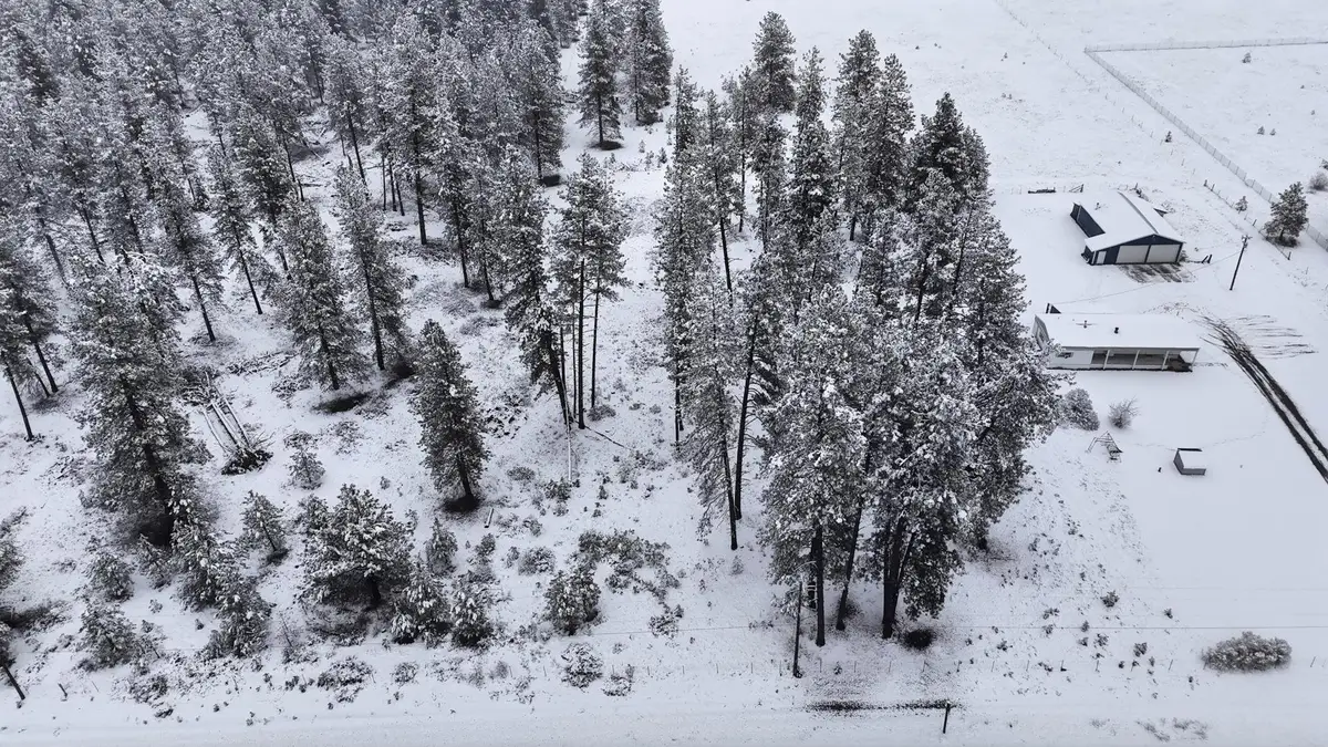 NKN Newport Hwy Hwy, Elk, WA 99009 - #1