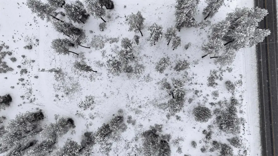 NKN Newport Hwy Hwy, Elk, WA 99009 - #3