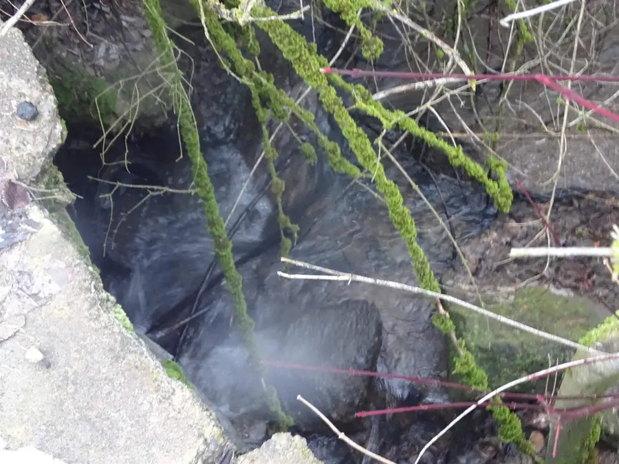 17208 E Blanchard Rd, Elk, WA 99009 - #2