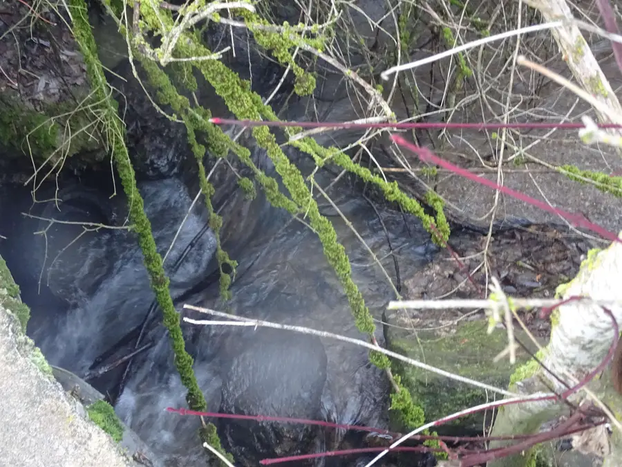 17208 E Blanchard Rd, Elk, WA 99009 - #3