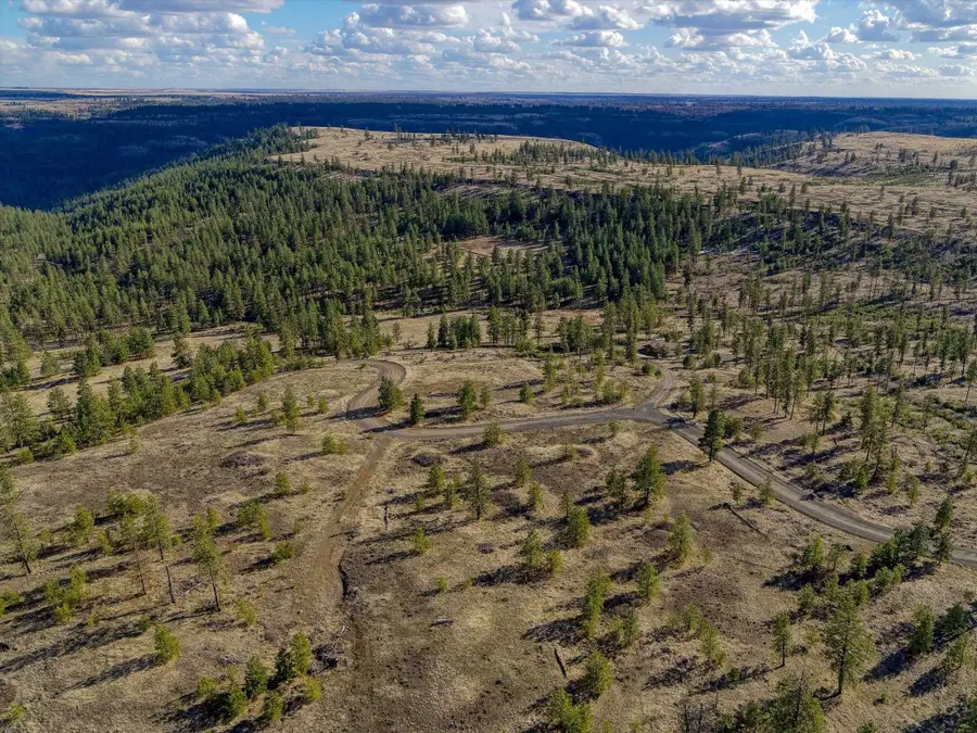 31008 Meadow Ln, Davenport, WA 99122 - #3