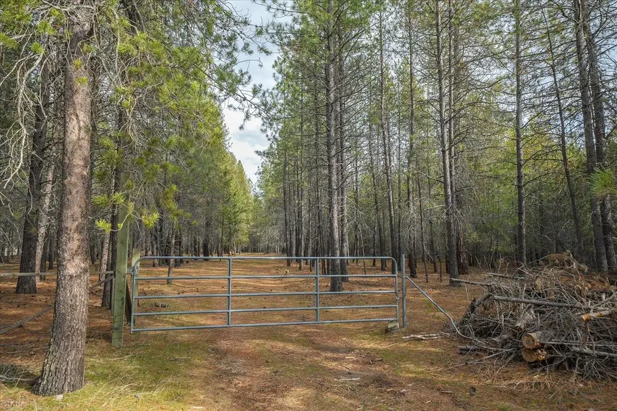 28202 N Bruce Rd, Chattaroy, WA 99003 - #2