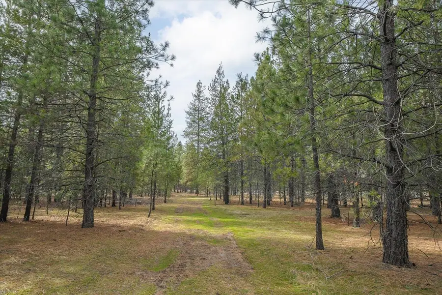 28202 N Bruce Rd, Chattaroy, WA 99003 - #3