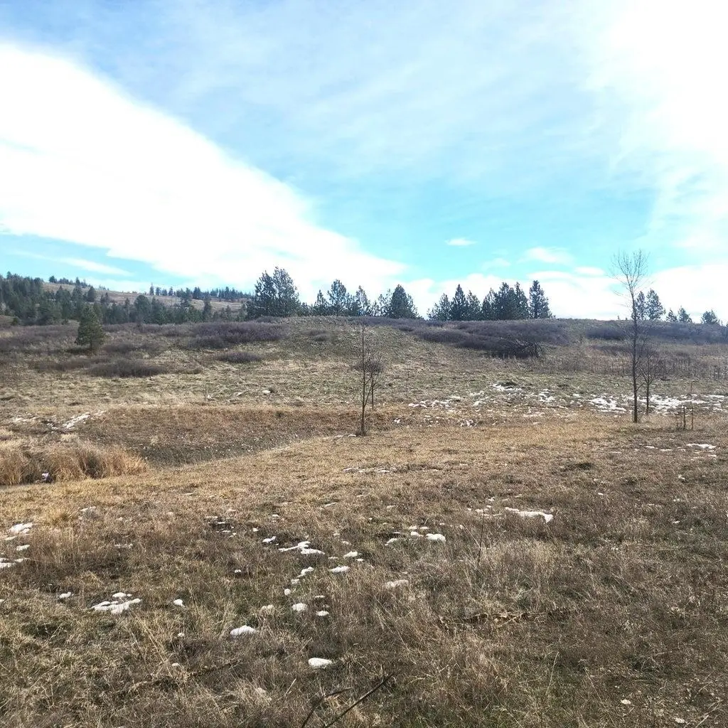 3390 F&g Spirit Ridge Way, Rice, WA 99167 - #1