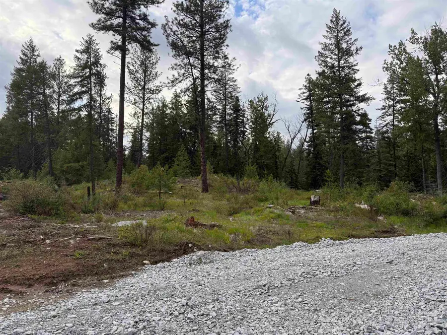 NKN Lot 1 Veit Rd, Newport, WA 99156 - #3