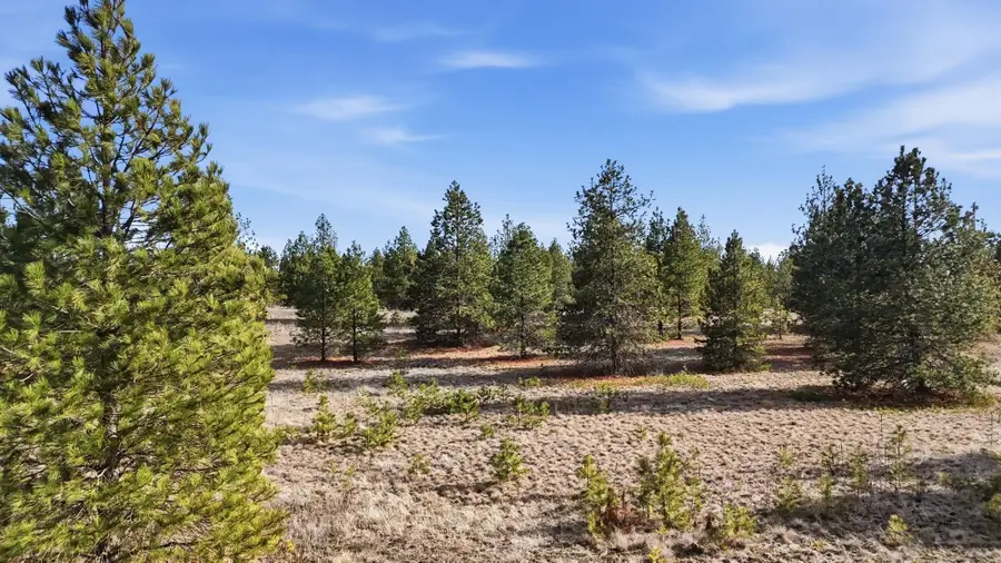 00 N Dover Rd, Medical Lake, WA 99022 - #3