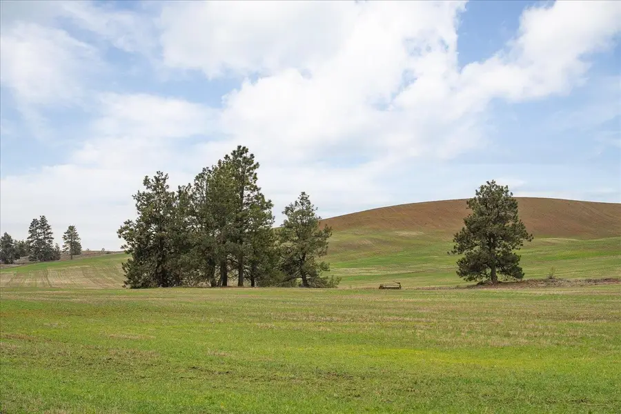 nka Unassigned Address Rd, Spangle, WA 99031 - #3