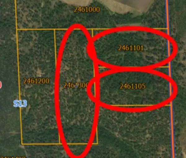 XXXX Dome Lane Way, Springdale, WA 99148