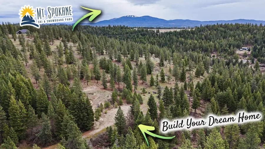 Lot 29 Barbi Ct, Chattaroy, WA 99003 - #2