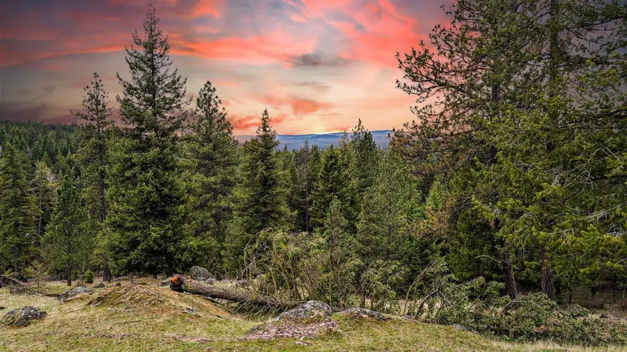 Lot 29 Barbi Ct, Chattaroy, WA 99003 - #3