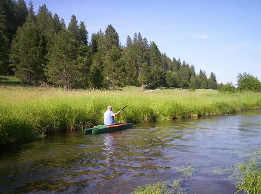 101 Pines Rd, Newport, WA 99156 - #2