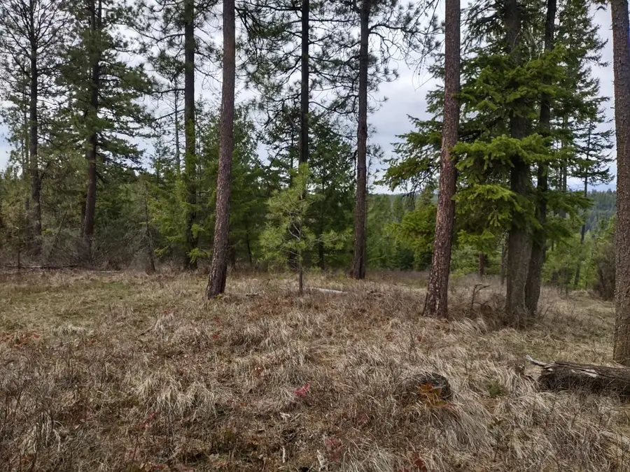 xx Lyons Hill Rd, Springdale, WA 99173 - #3