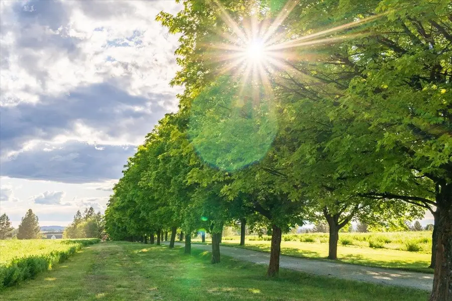 NKA E Day Mt Spokane Rd, Mead, WA 99021 - #3