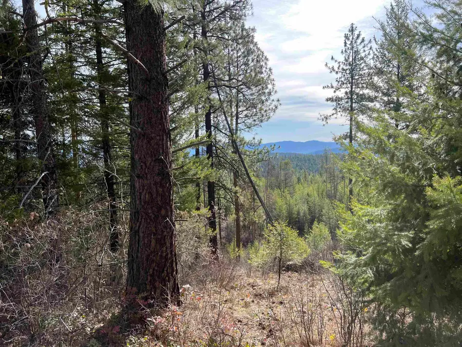 NKA Orin Rice Rd, Colville, WA 99114 - #3