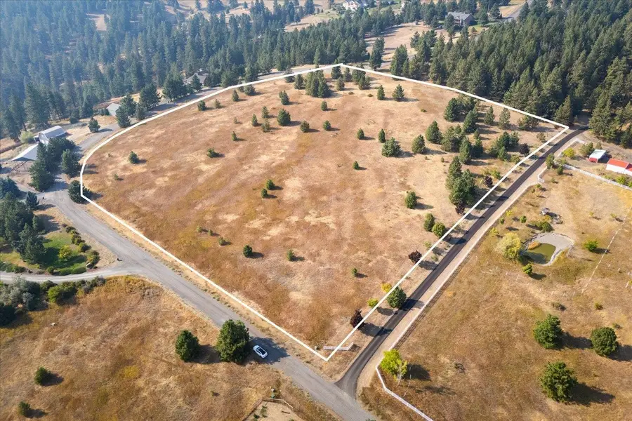 15013 S Palomino Ln, Mica, WA 99023 - #3