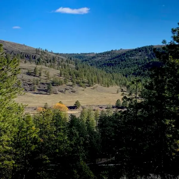 Lot 2 Scenic Short Plat Dr, Davenport, WA 99122