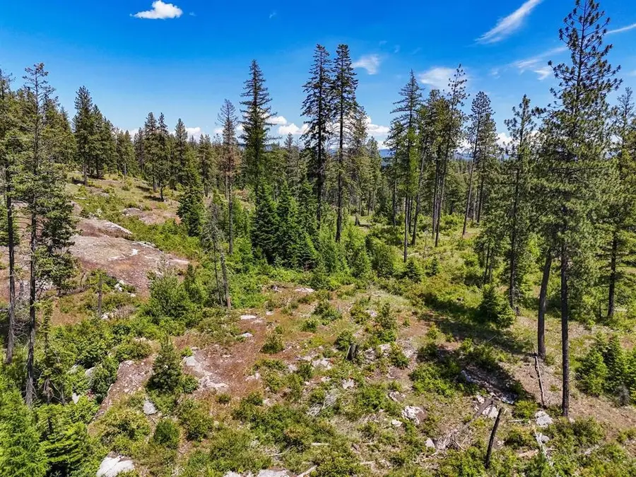 54XX Northshore Diamond Lake Rd Rd, Newport, WA 99156 - #3