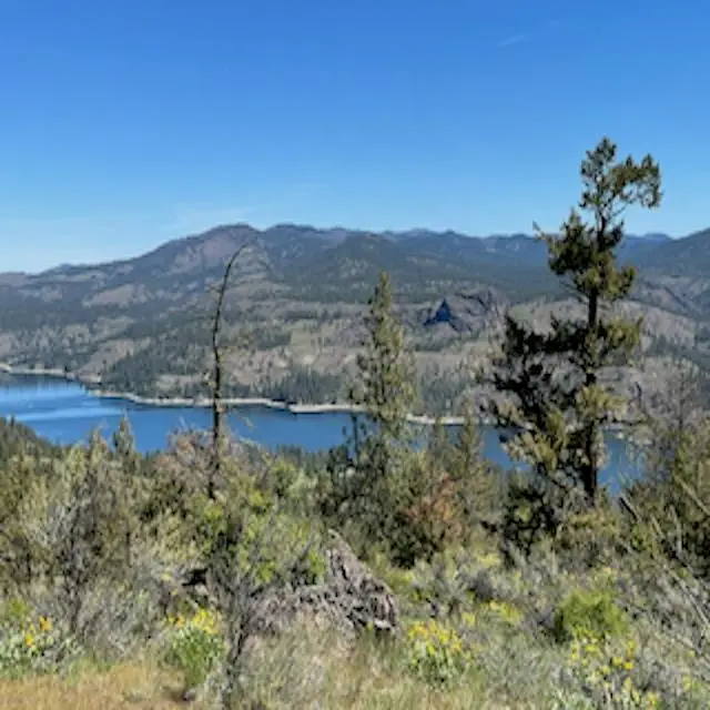 Lot 17 Bighorn Dr, Davenport, WA 99122 - #3