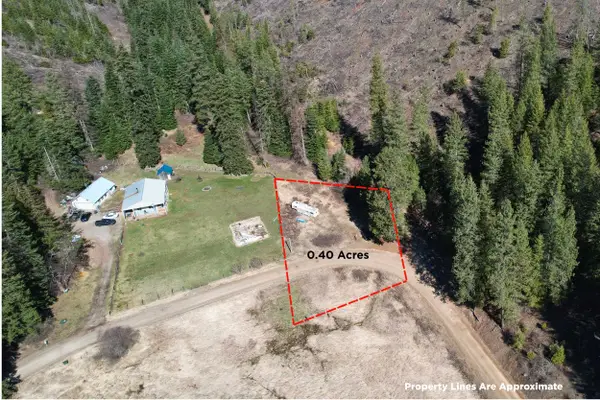 4149 North Deer Lake Rd, Loon Lake, WA 99148