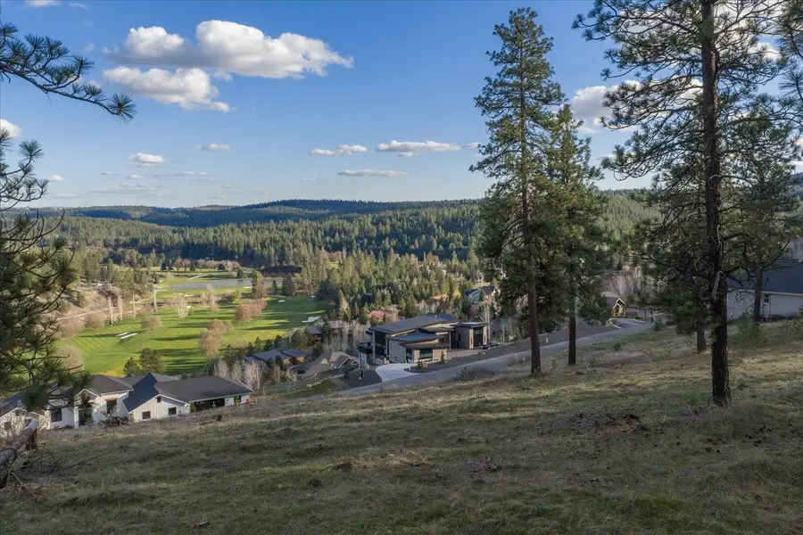 11615 S Elk Run Ln, Spokane, WA 99224 - #3