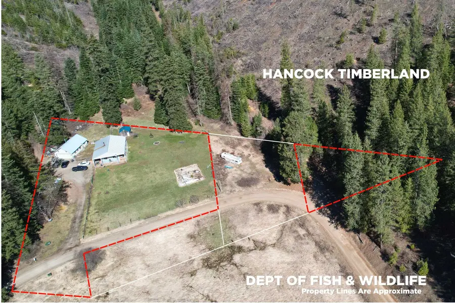 4143 North Deer Lake Rd, Loon Lake, WA 99148 - #2