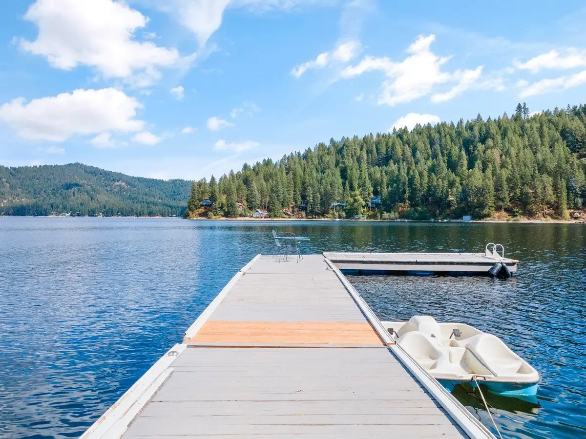 3923 E Pine Bay Rd, Loon Lake, WA 99148 - #1