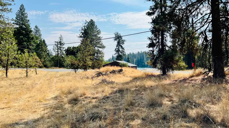 xxx W Brooks Rd, Medical Lake, WA 99022 - #2