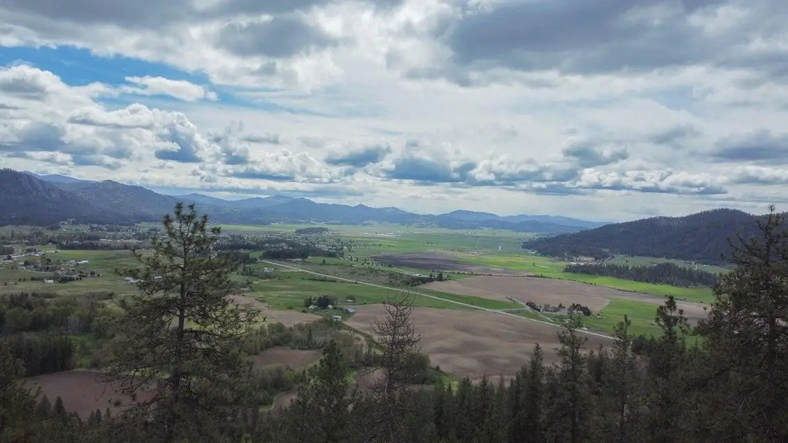 1644 Palmer Loop, Chewelah, WA 99109 - #1