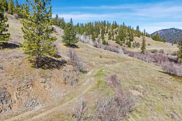 30XX Pierre Lake Rd, Kettle Falls, WA 99141