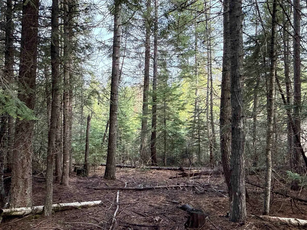 NKA Eagle Ridge Way, Springdale, WA 99173 - #1