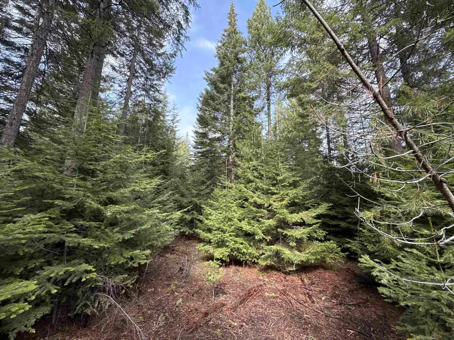 4828 Eagle Ridge Way, Springdale, WA 99173 - #3