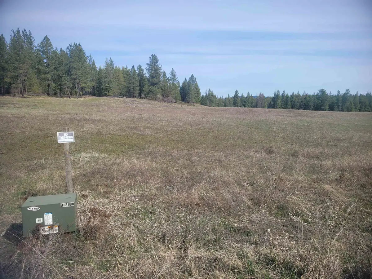 4528 Stonebrook Way, Springdale, WA 99173 - #1