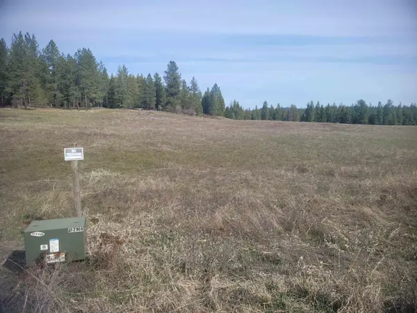 4528 Stonebrook Way, Springdale, WA 99173