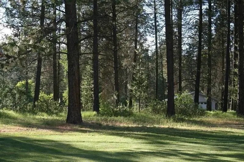 205 Eagle Dr, Chewelah, WA 99109-9602 - #1