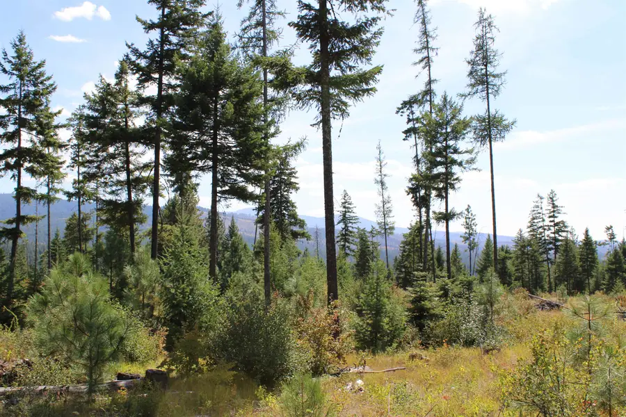 xxx Ellery Ranch Rd, Elk, WA 99009 - #2