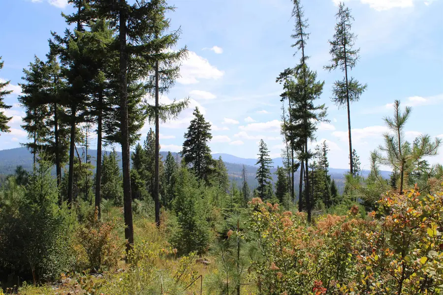 xxx Ellery Ranch Rd, Elk, WA 99009 - #3