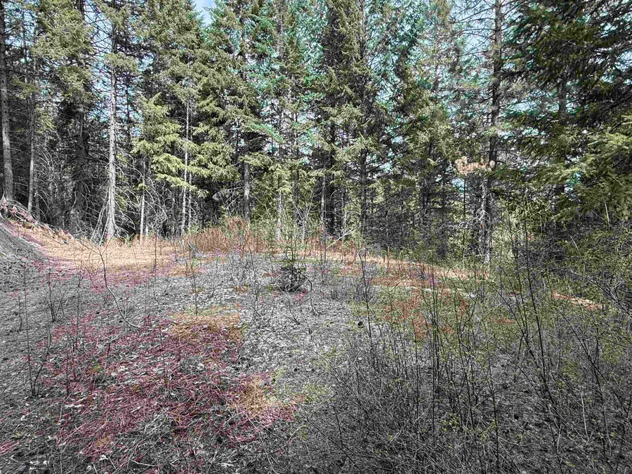 NNA Buck Creek Rd, Loon Lake, WA 99148 - #3