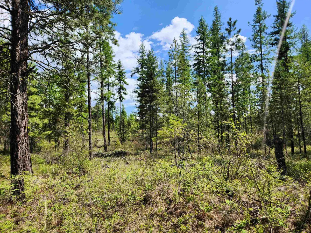 3669 E Jump Off Joe Rd, Valley, WA 99181 - #1