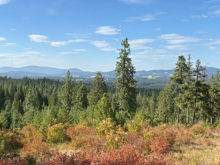 84XX Lodge Pole Ln, Chattaroy, WA 99003 - #3