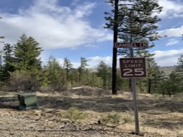 31755 E Gambel Ln, Davenport, WA 99122 - #1